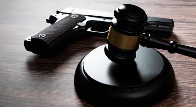 What is the Firearms Act in Canada?