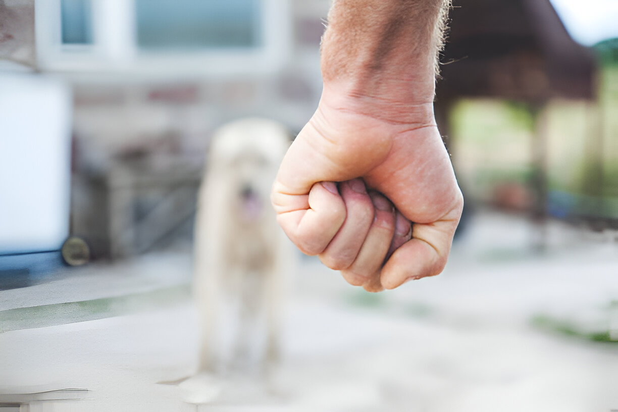 Bestiality Laws in Canada