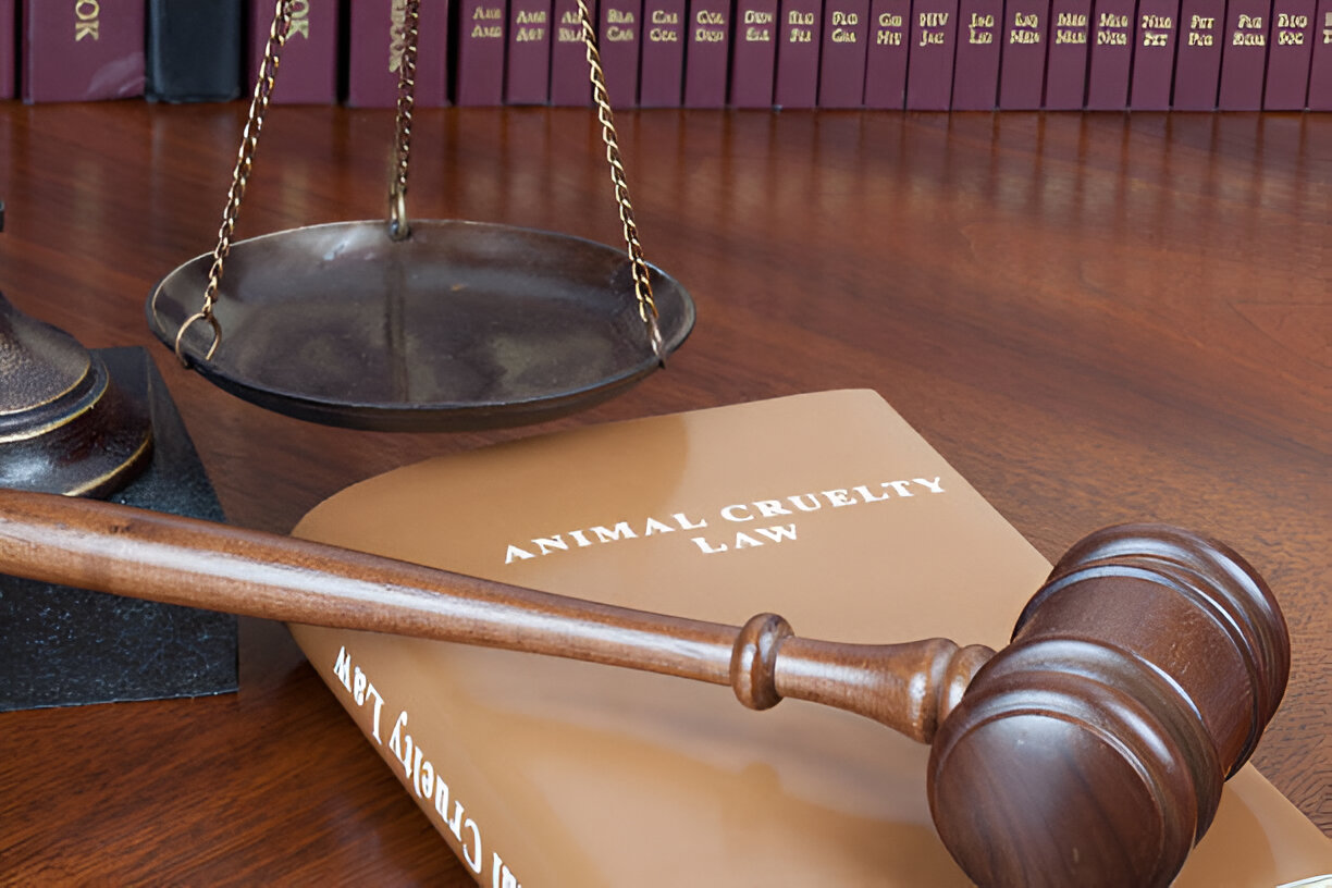 Understanding Animal Cruelty Offences in Canada